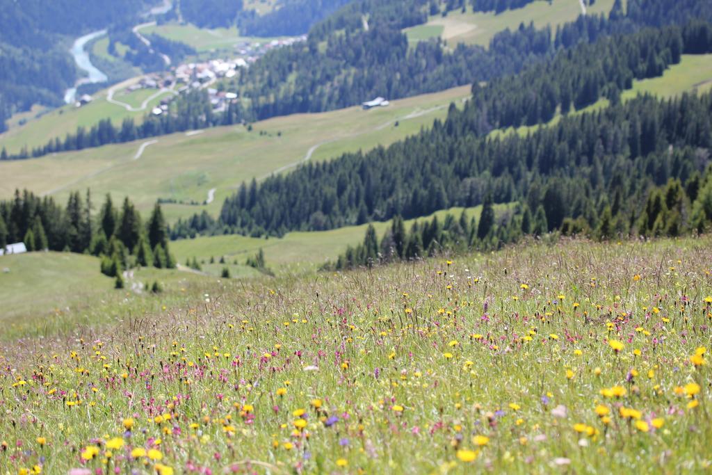Ferienwohnung Caviezel Tschlin Esterno foto